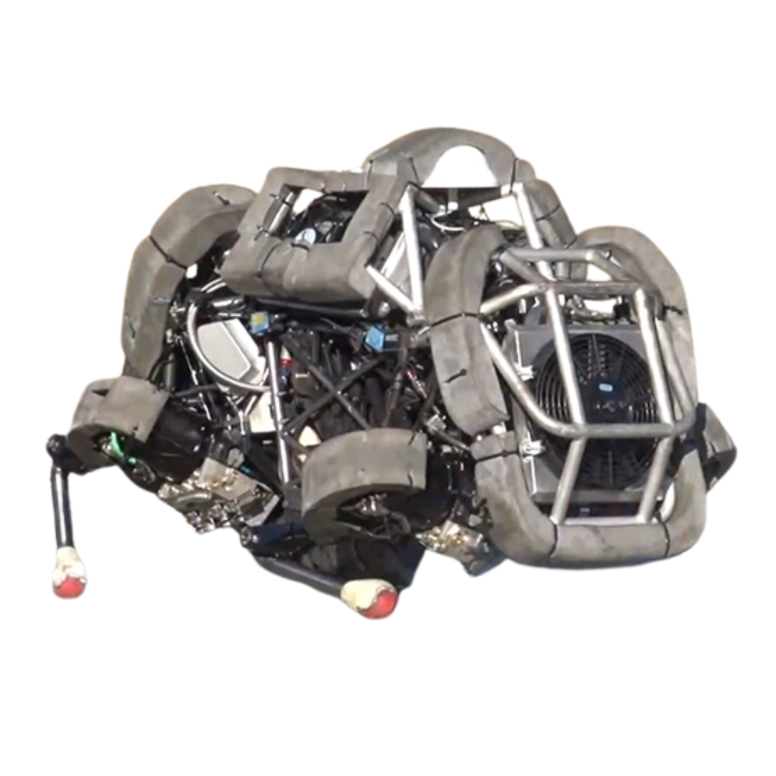 WildCat robot