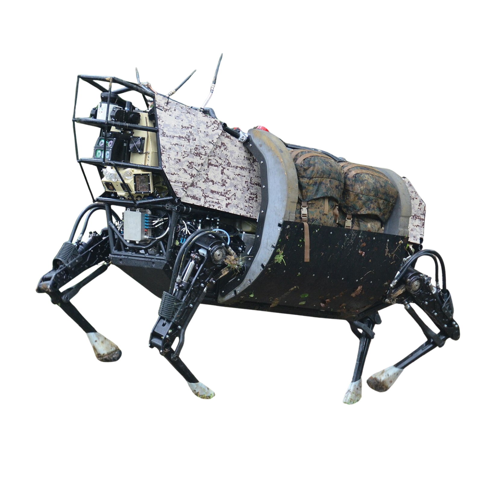 LS3 (AlphaDog) — image 1