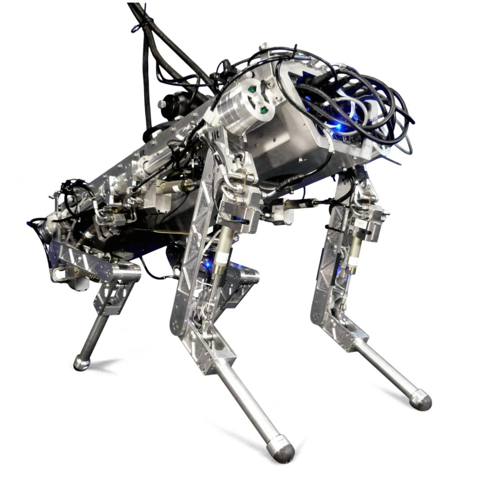 HyQ robot
