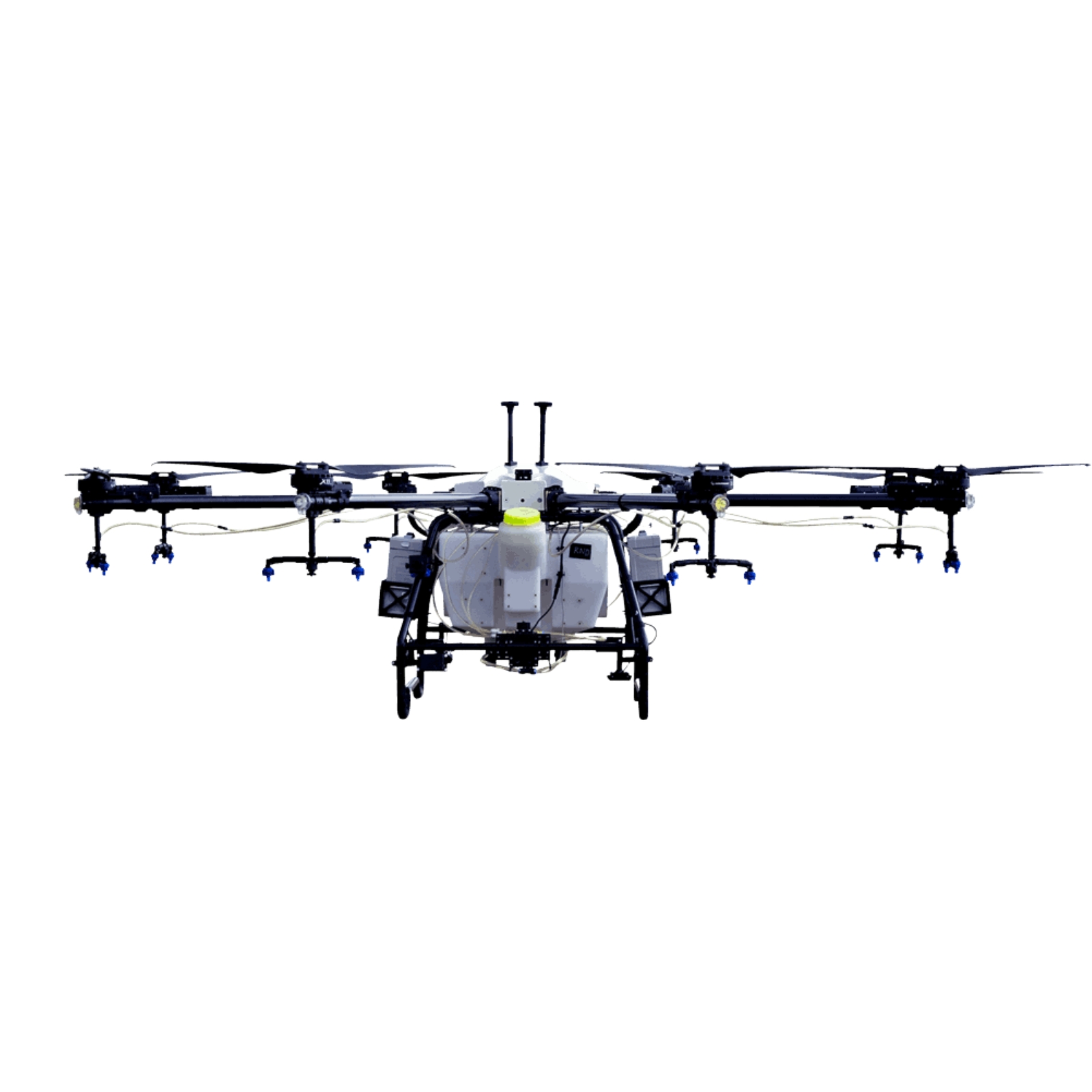 AG-272 — image 1