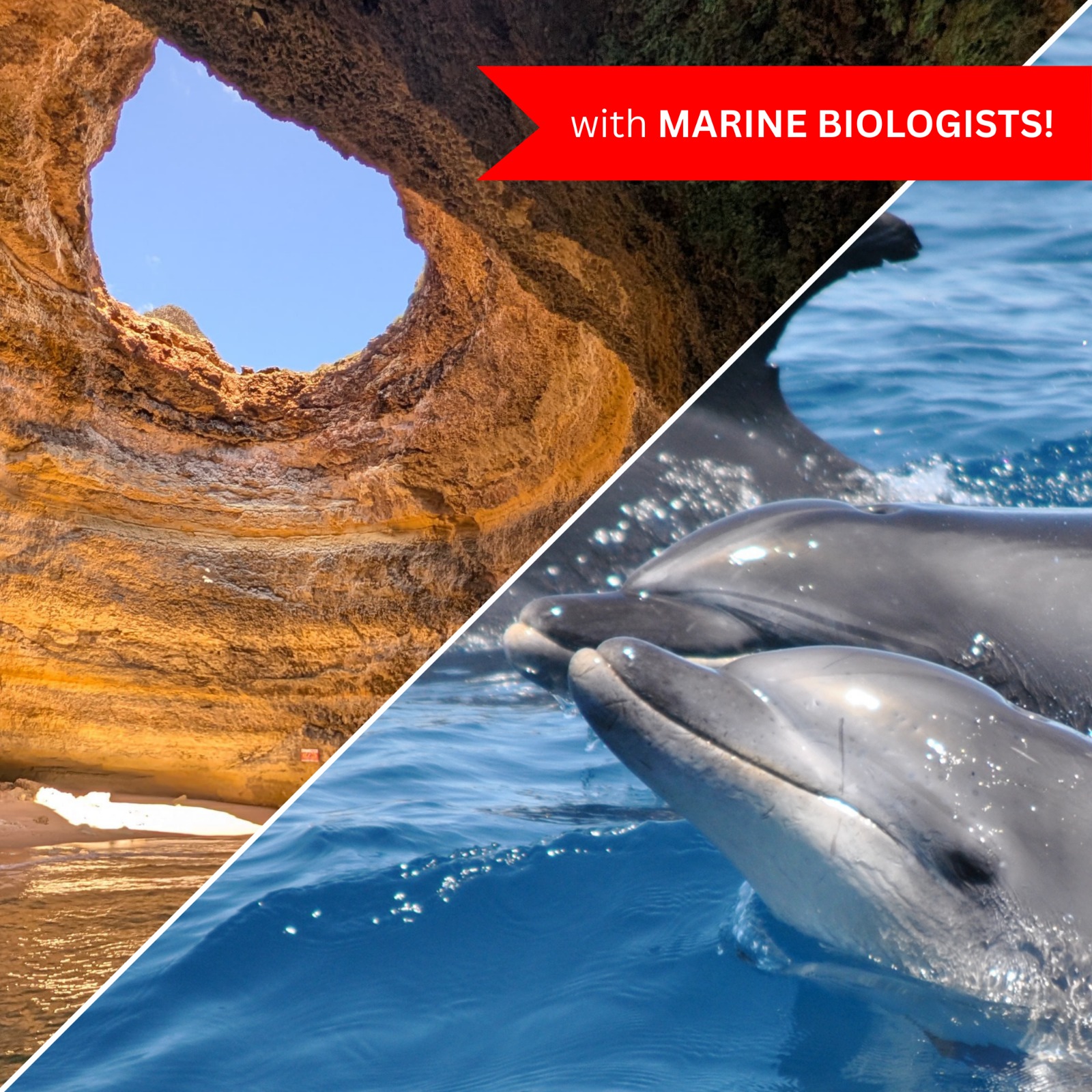 Passeio de Barco na Gruta de Benagil + Observação de Golfinhos