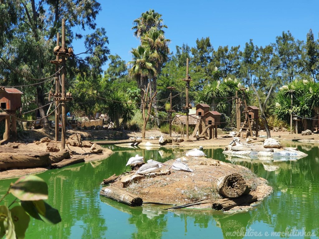 Zoo de Lagos