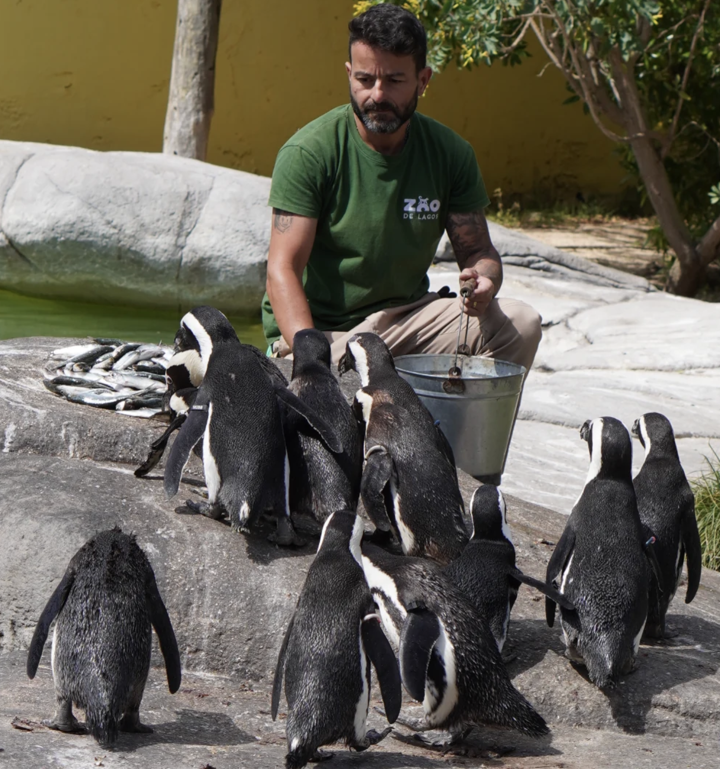 Zoo de Lagos - 5
