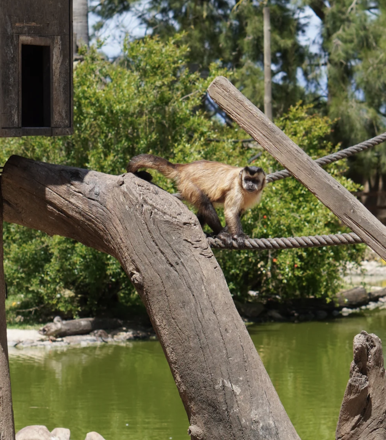 Zoo de Lagos - 6