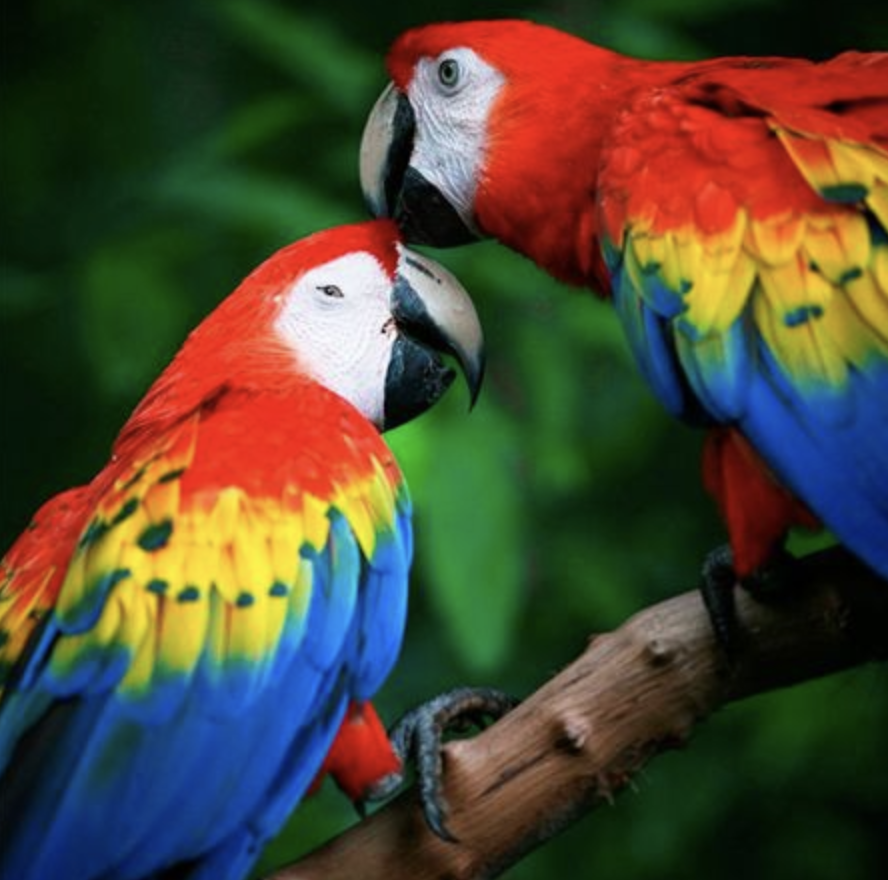Zoo de Lagos - 7