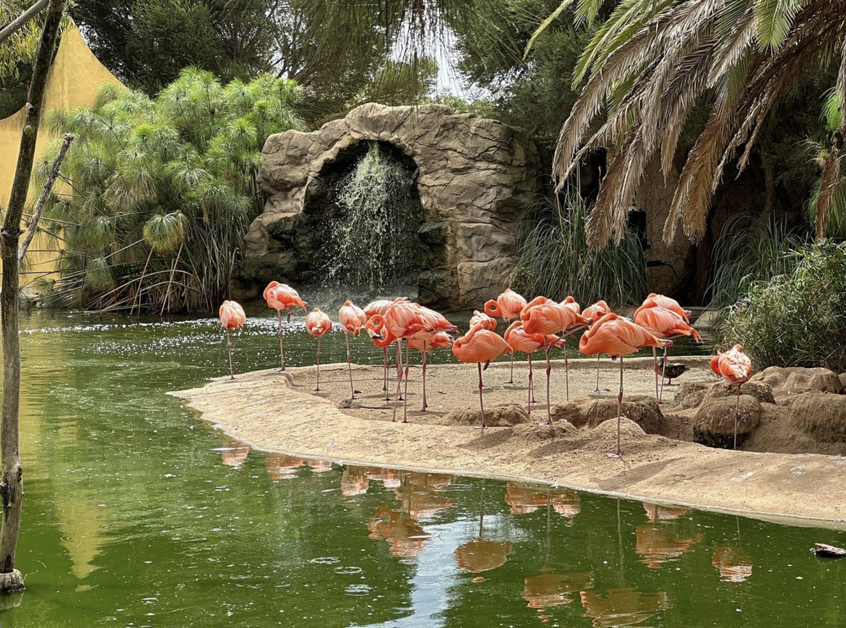 Zoo de Lagos - 8