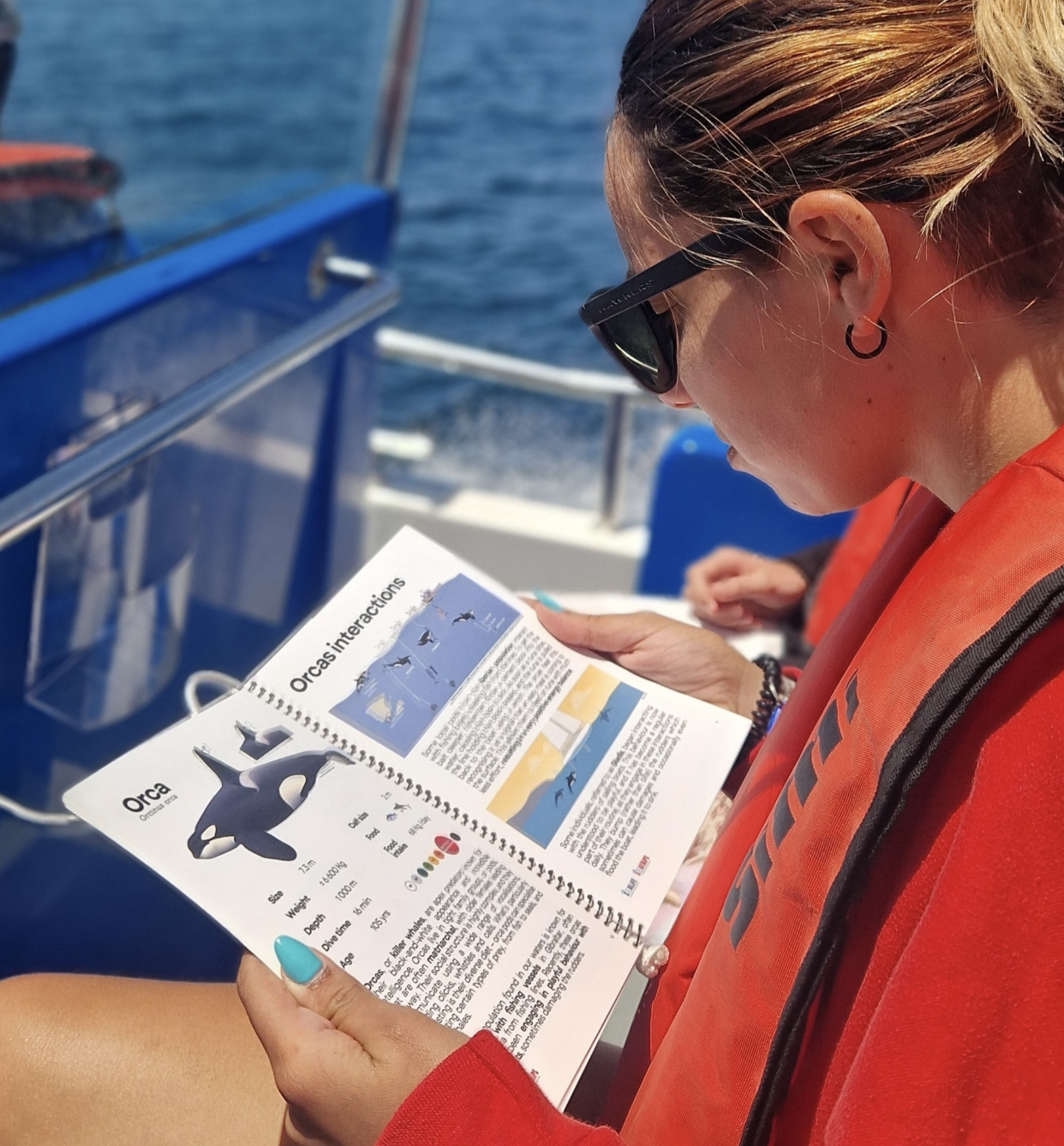 Passeio de Barco Observação dos Golfinhos - 5