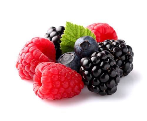 shutterstock_121283596