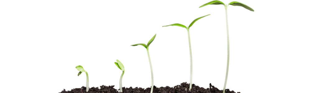 Progress Provides Growth