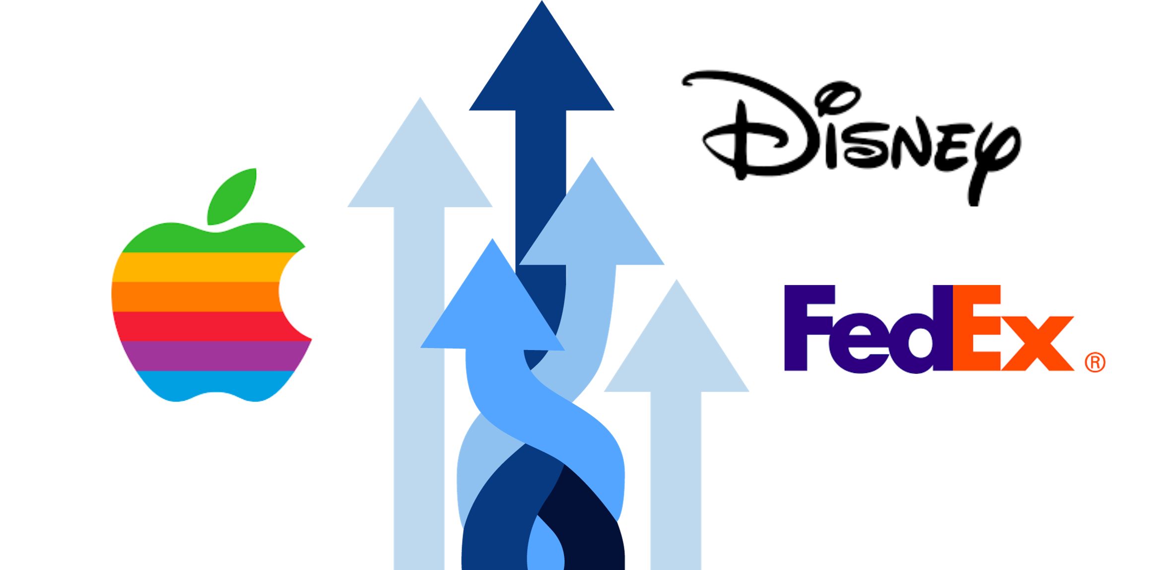 From Humble Beginnings: The Early Stories and Growth Strategies of