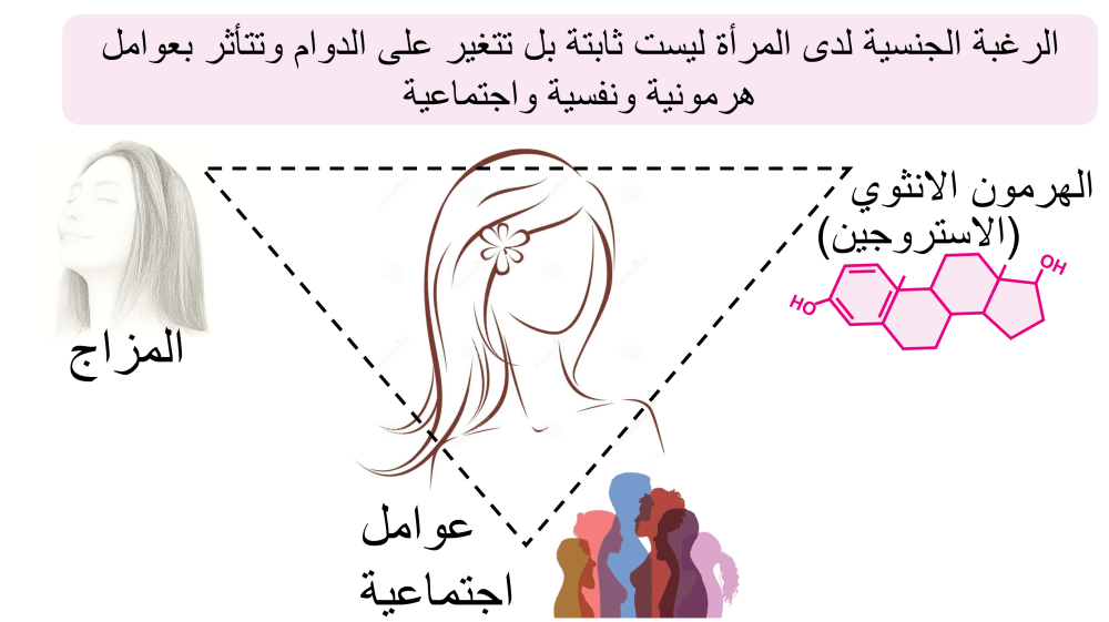 مفاتيح الاداء الجنسي للمرأة