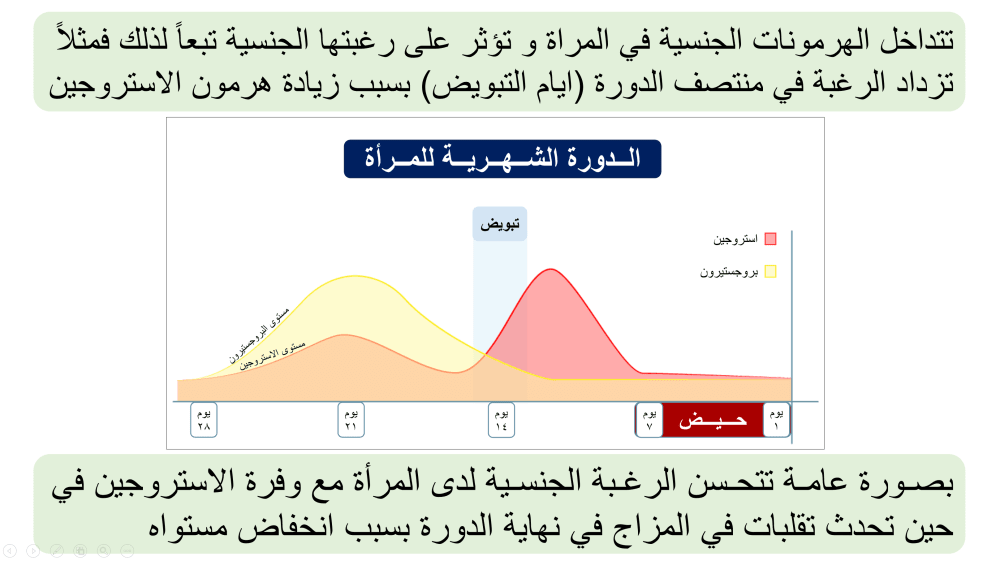 التغير المتواصل في النشاط الانثوي