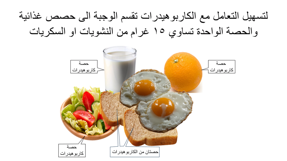 تقسيم الكاربوهيدرات الى حصص