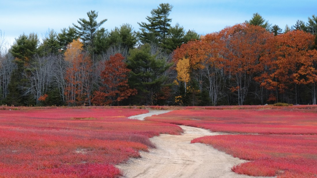 US — Acadia