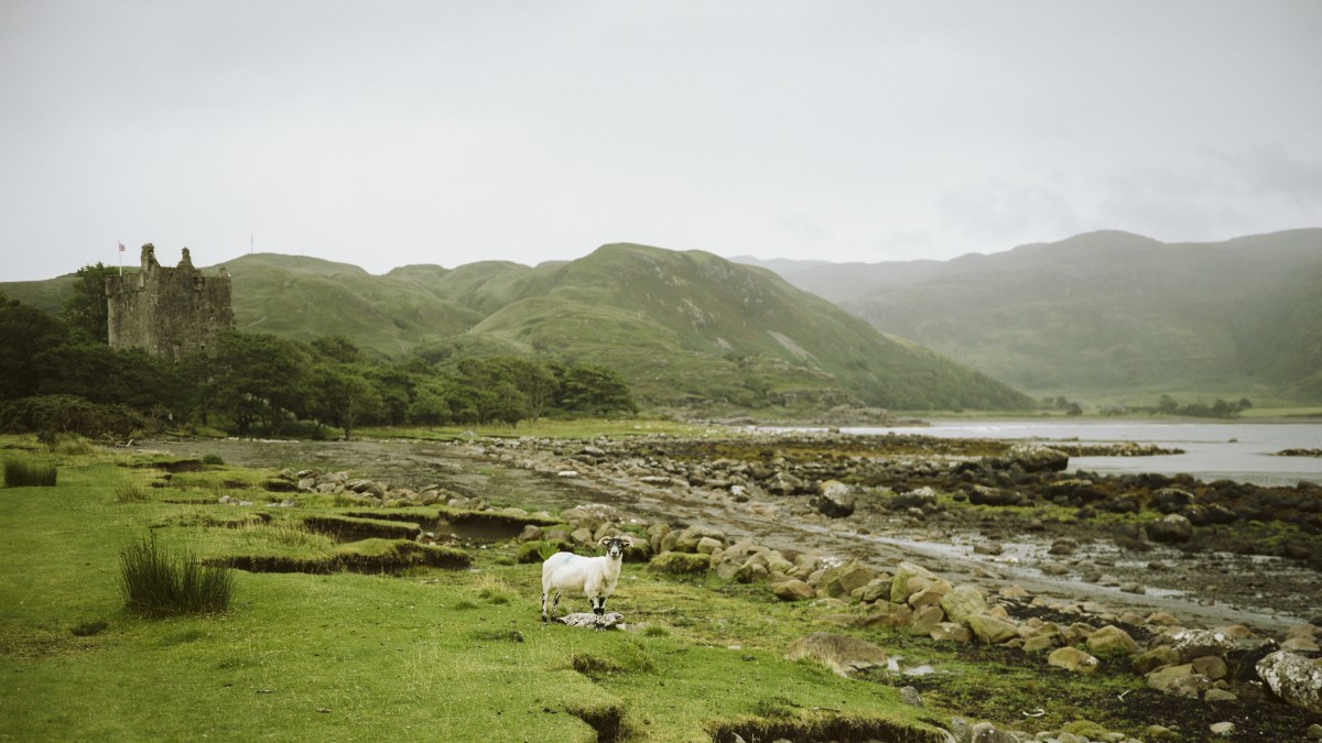 United Kingdom — Frame 004