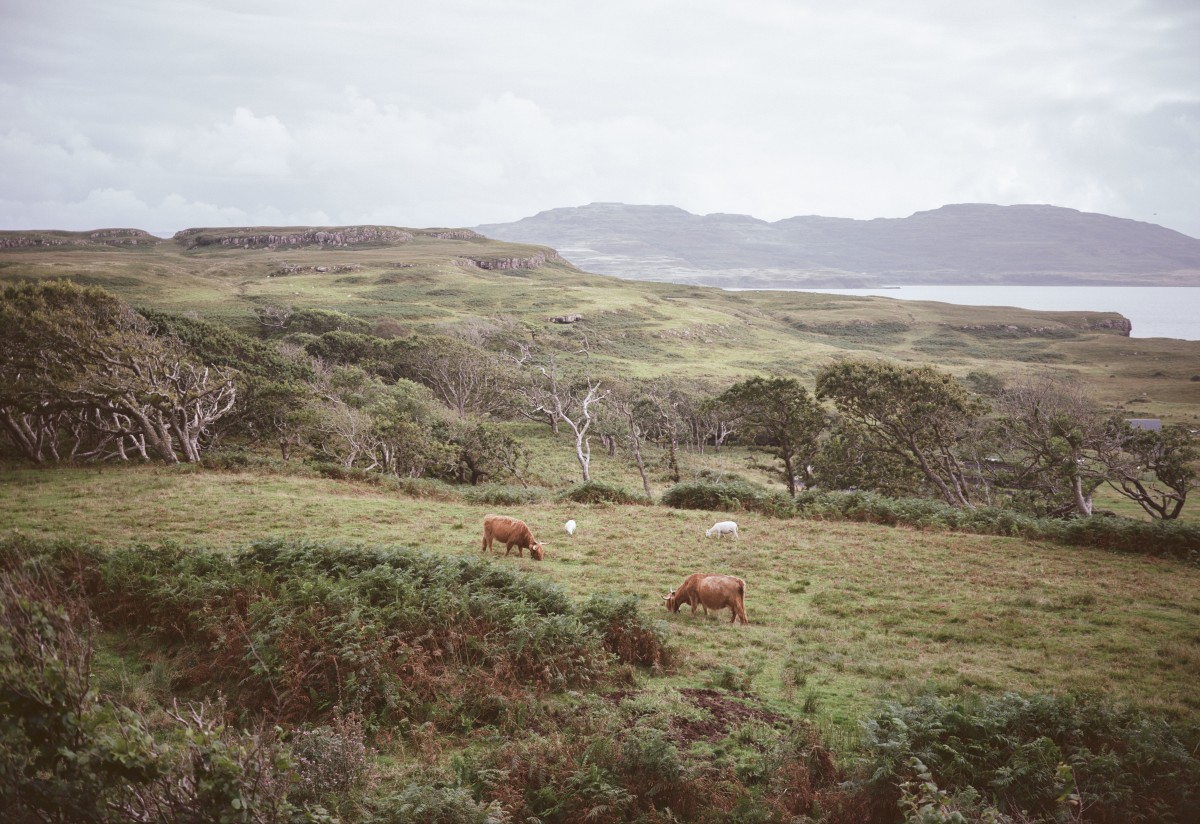 United Kingdom — Frame 012