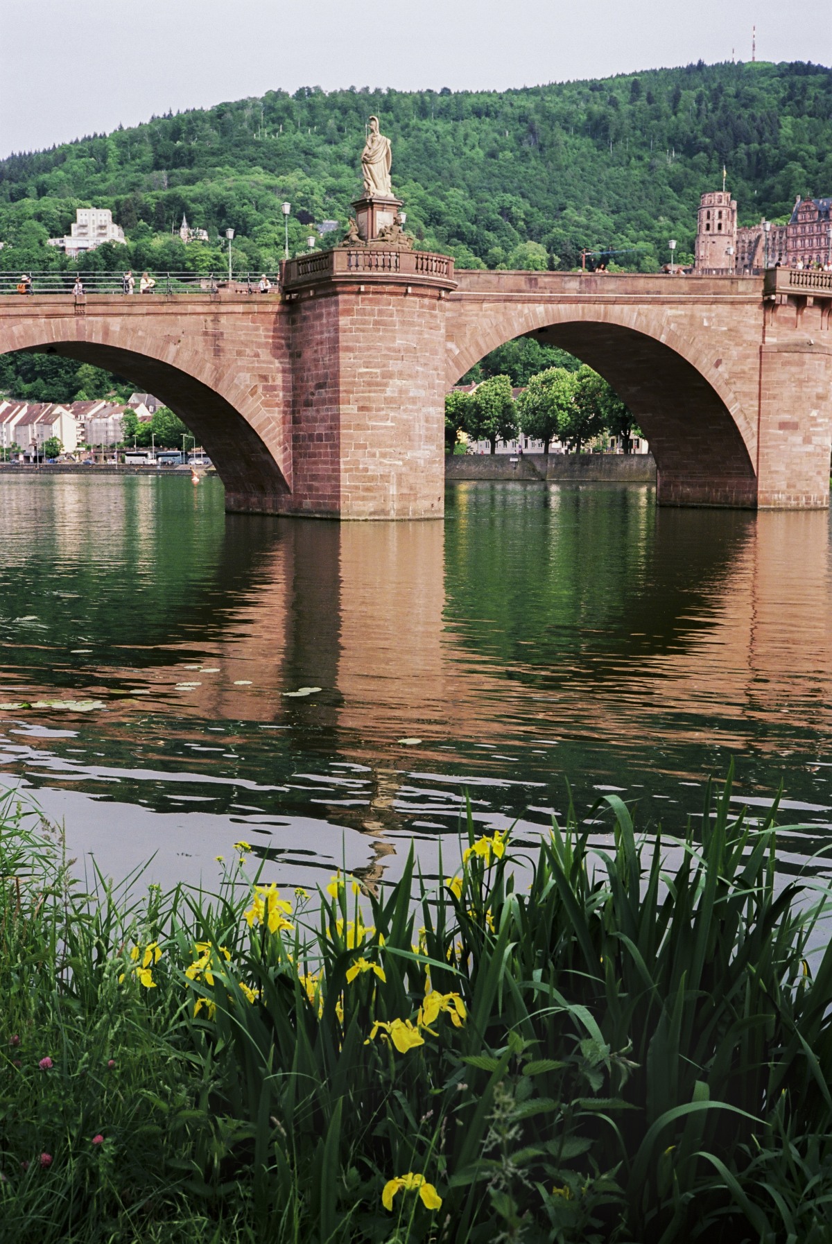 Heidelberg 005