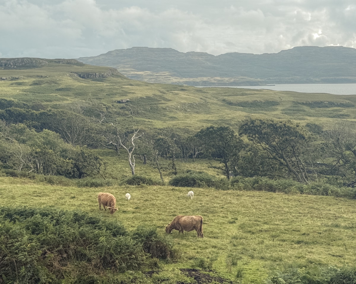 United Kingdom — Frame 018