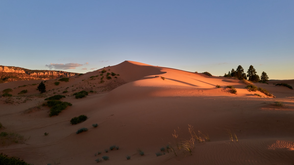 Coral Pink Sand Dunes, frame 001