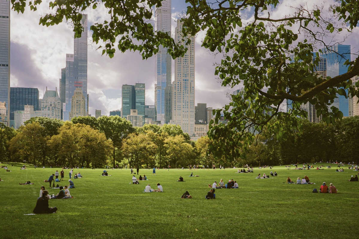 No. 393 · New York