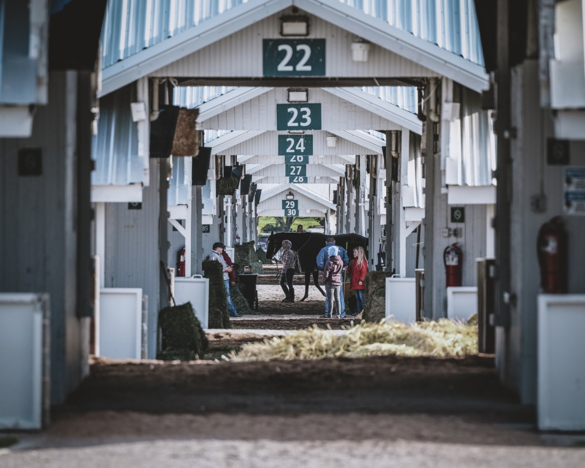 No. 376 · Keeneland