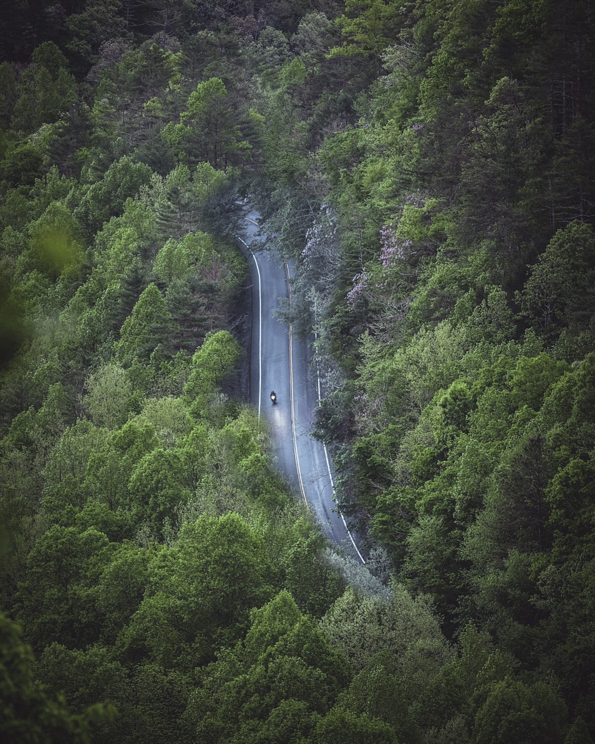 No. 380 · cades cove