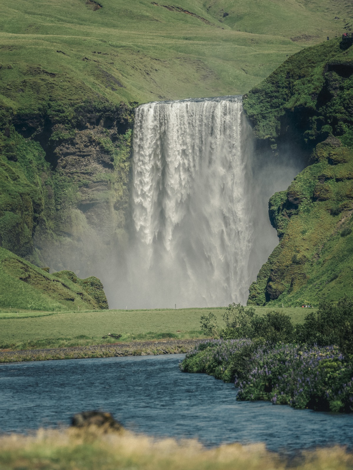 Iceland, frame 025