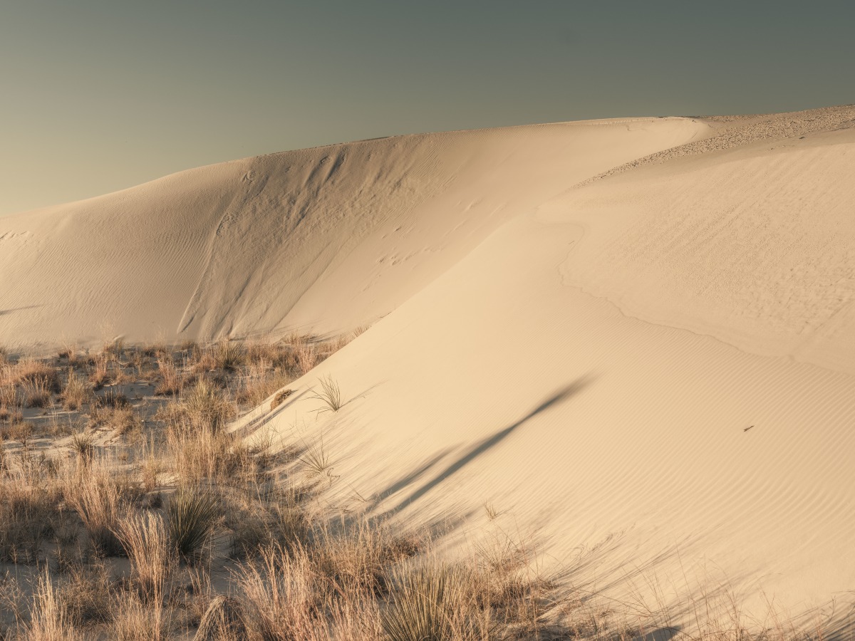 No. 222 · White Sands Dune NP
