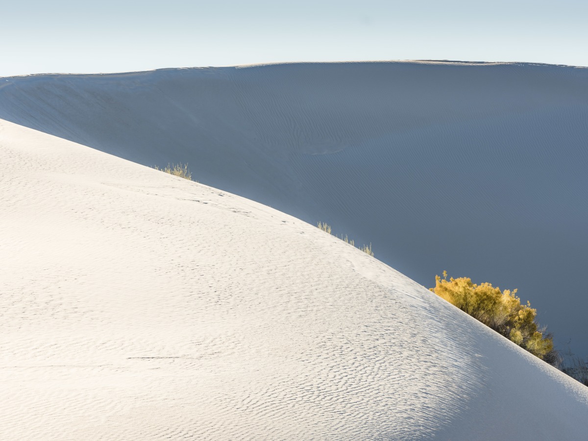 No. 220 · White Sands Dune NP