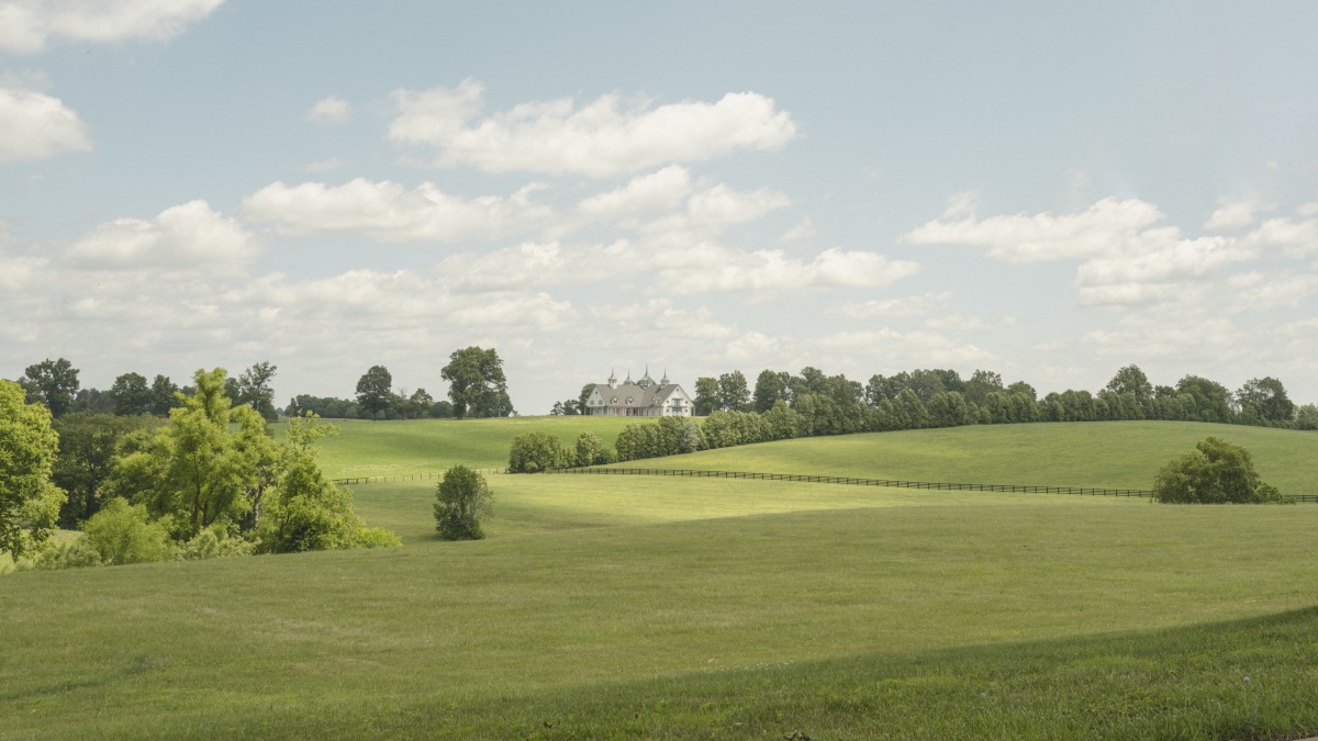 No. 342 · Keeneland