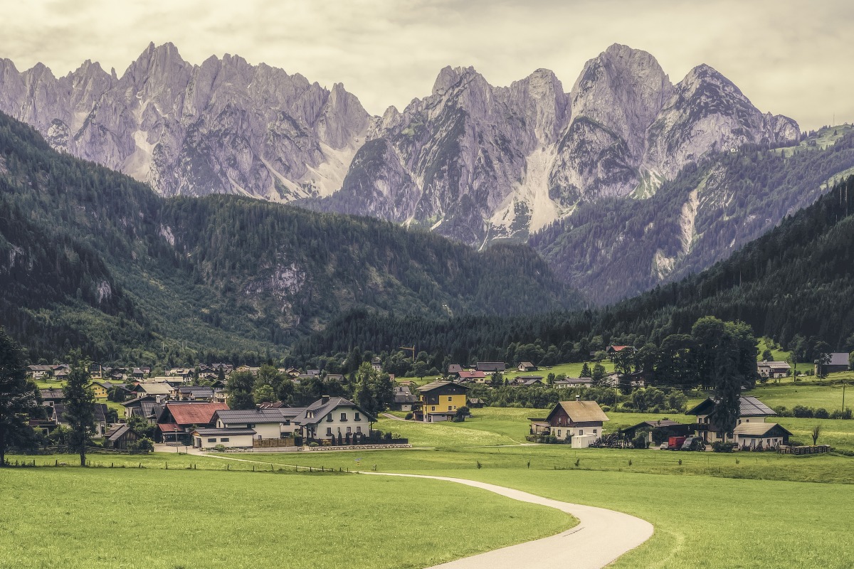 No. 338 · austria