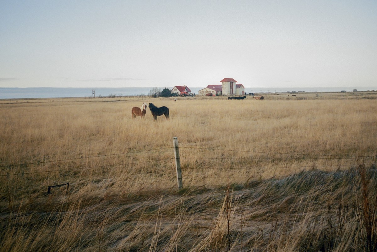 Iceland, frame 016