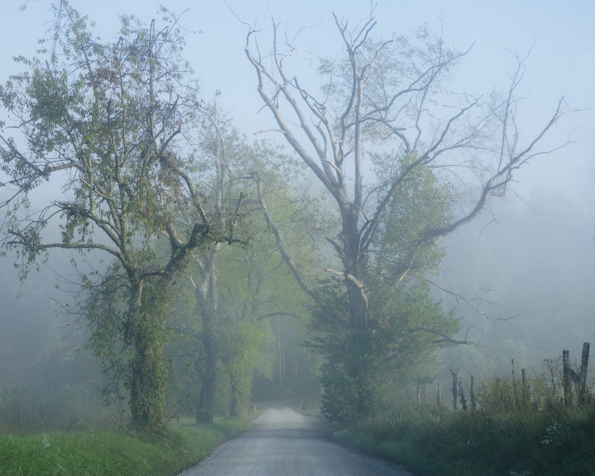 No. 264 · Cades Cove