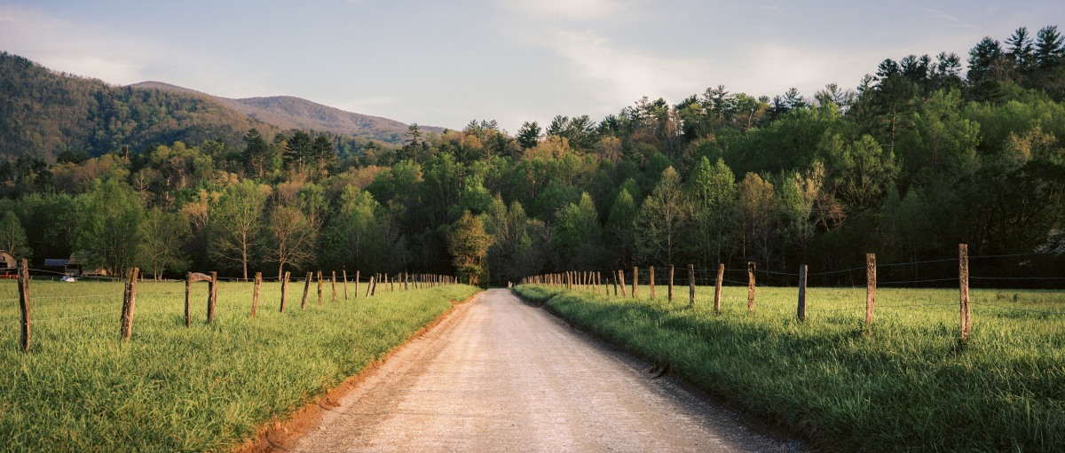 No. 213 · Cades Cove