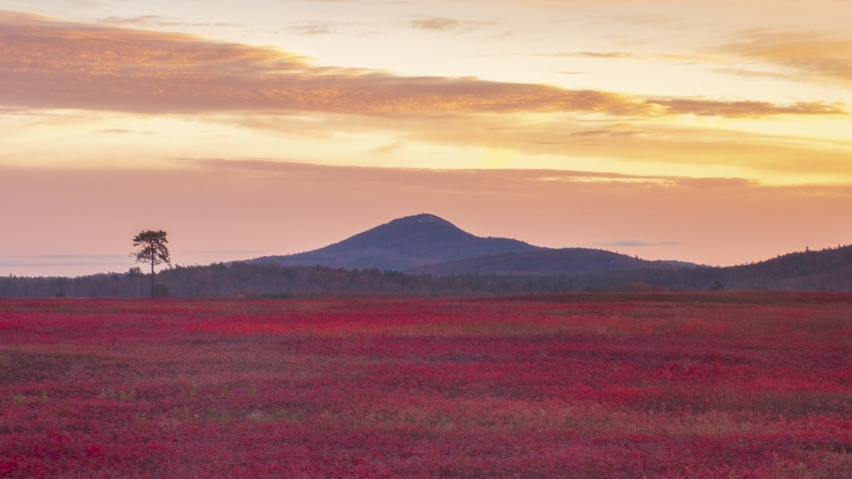 No. 471 · Adadia National Park Maine