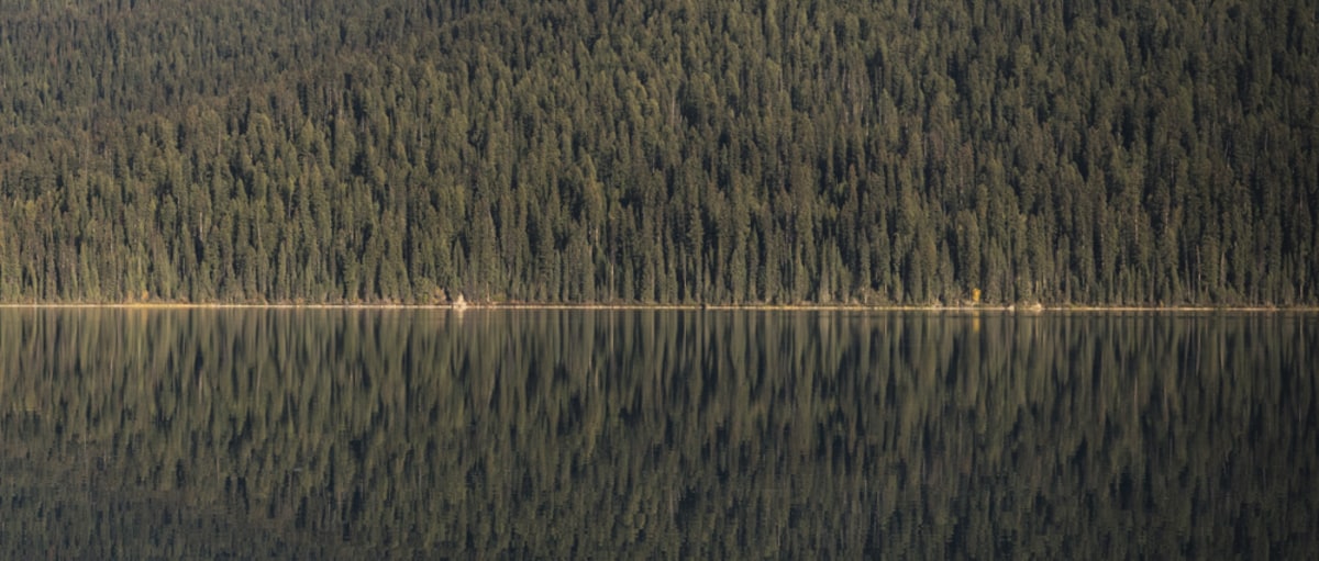 No. 240 · Banff