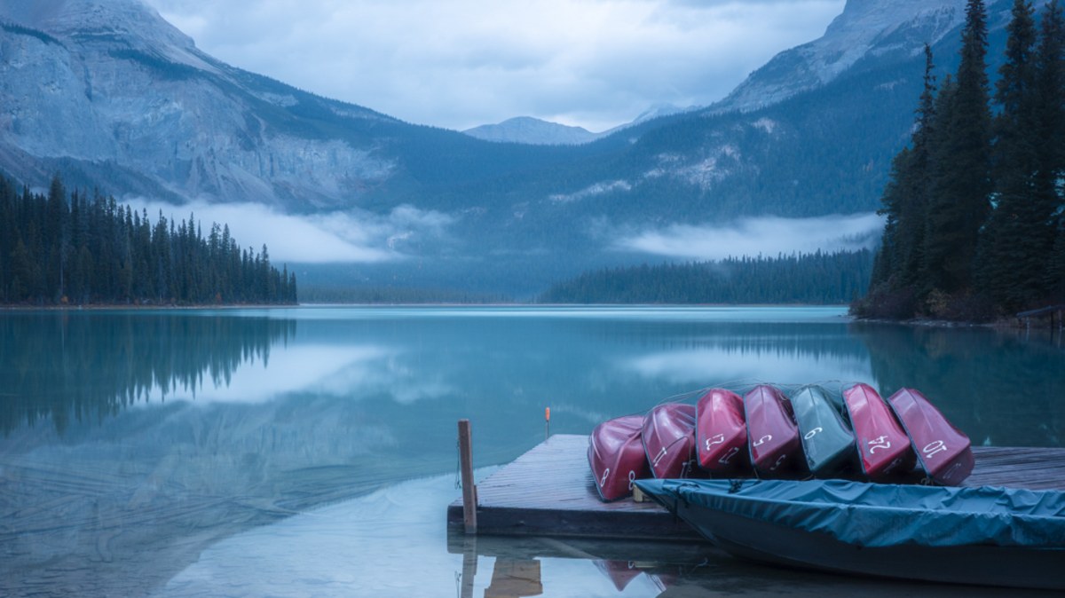 No. 239 · Banff