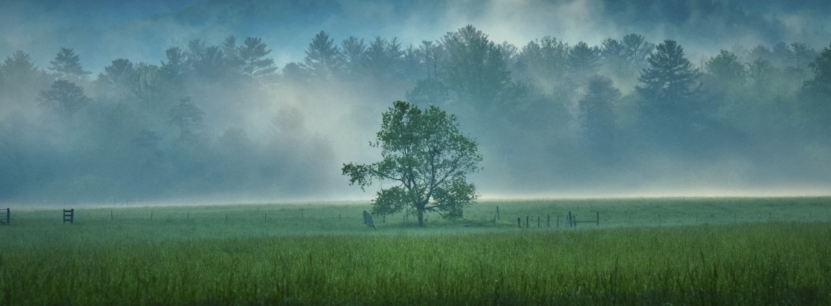 No. 492 · cades cove