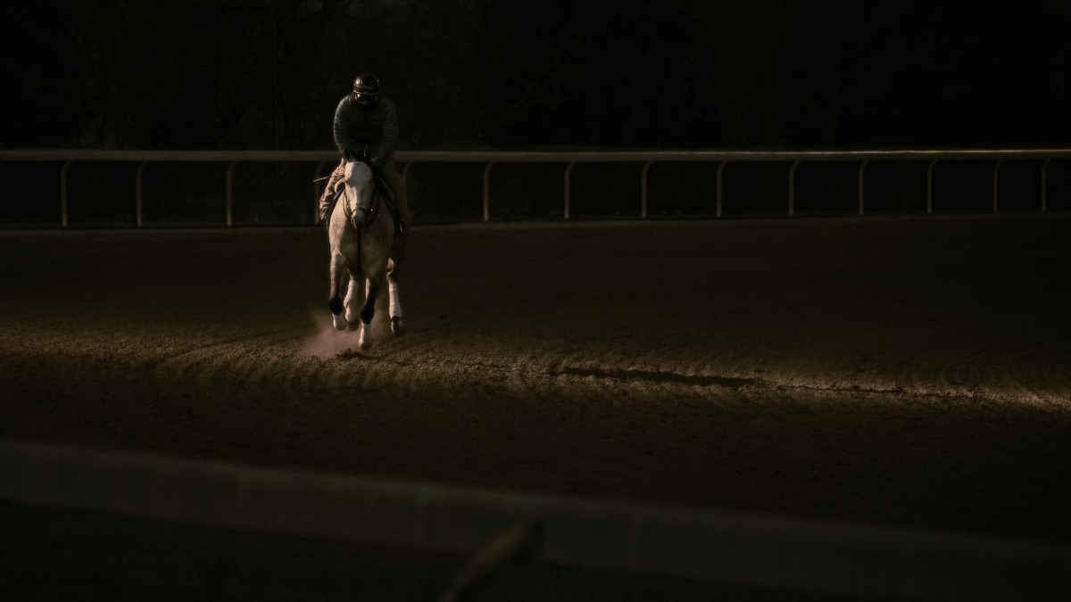 No. 464 · keeneland