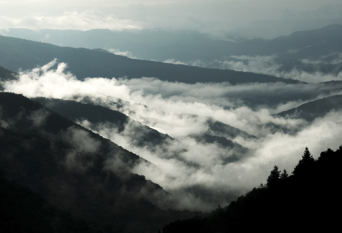 No. 425 · Smoky Mountains