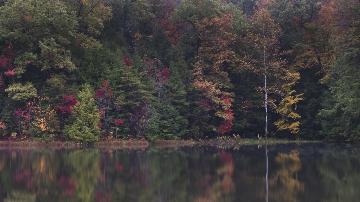 No. 422 · Hocking Hills