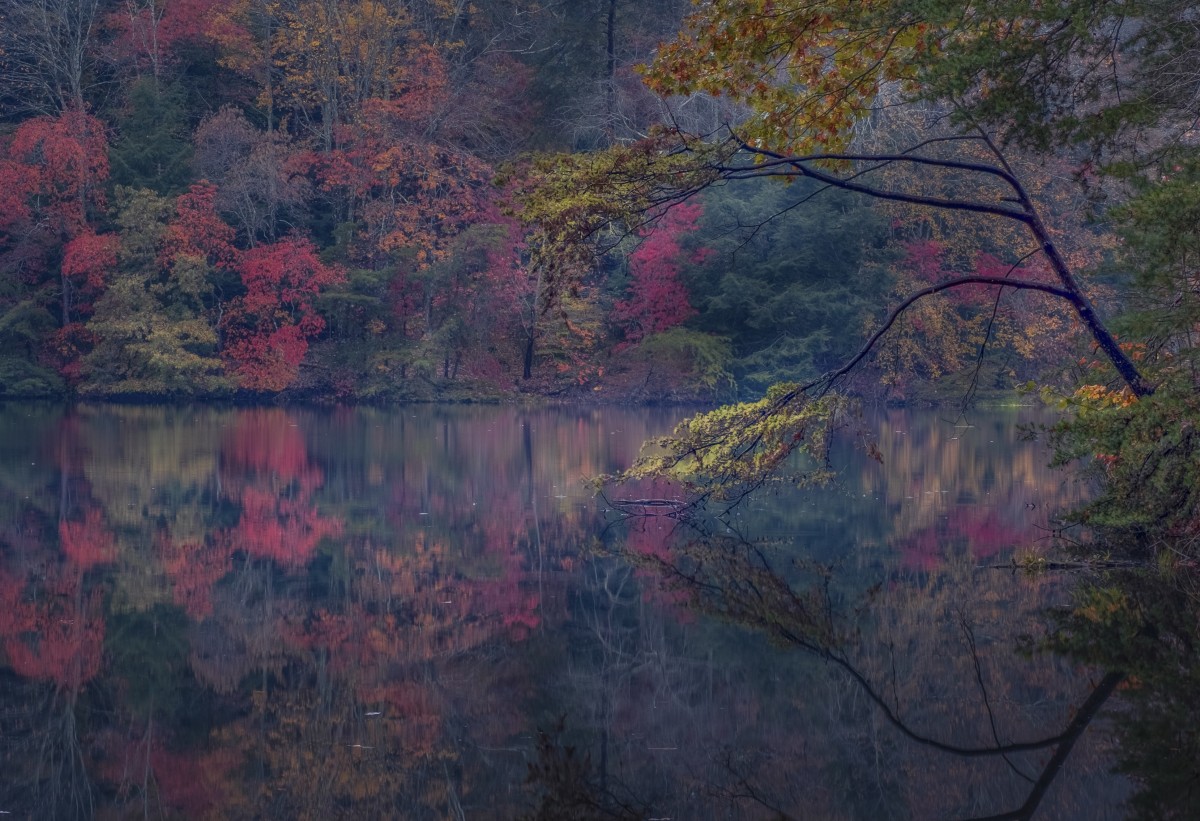 No. 419 · Hocking Hills