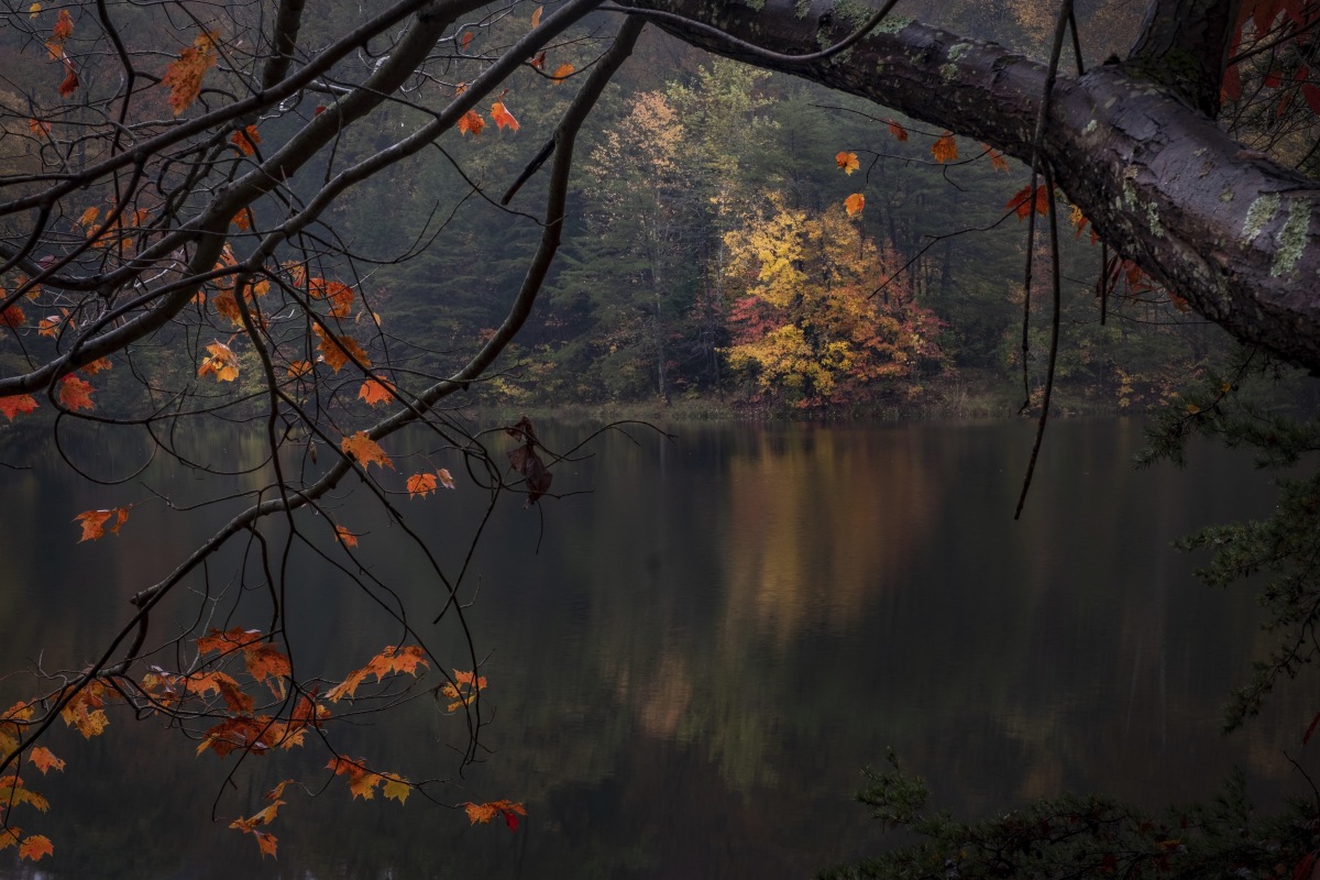 No. 414 · Hocking Hills