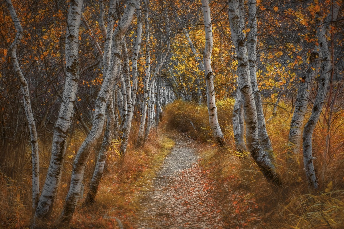 Acadia, frame 006
