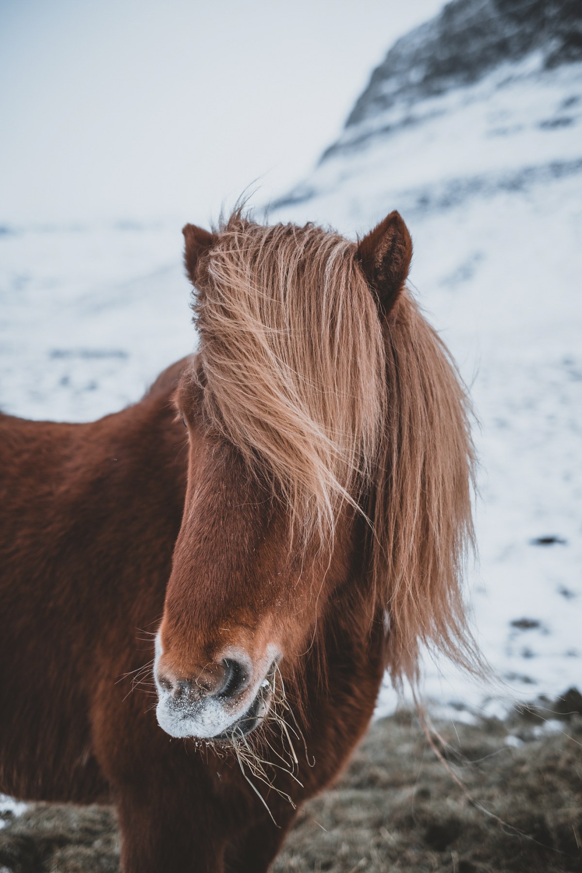 Iceland, frame 004