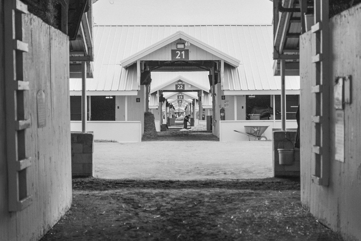 Keeneland, frame 002