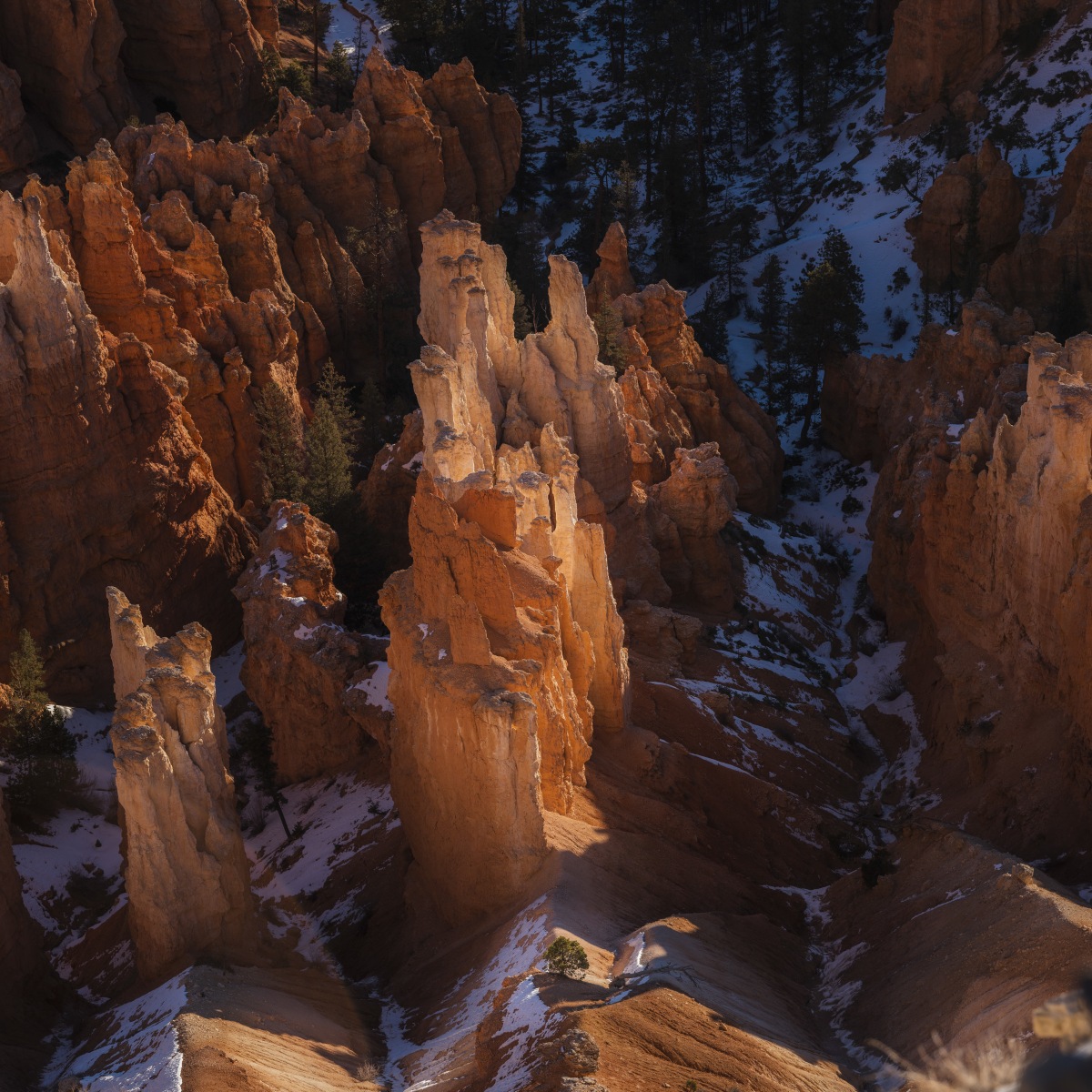 Zion & Bryce, frame 009