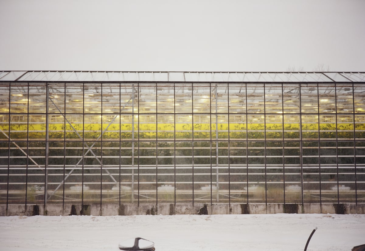 No. 095 · This is the tomato restuarant in Iceland