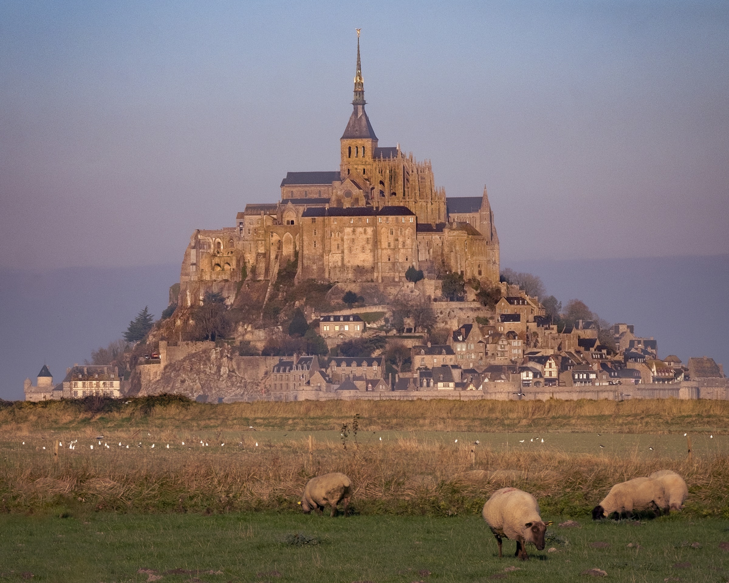 Normandy
