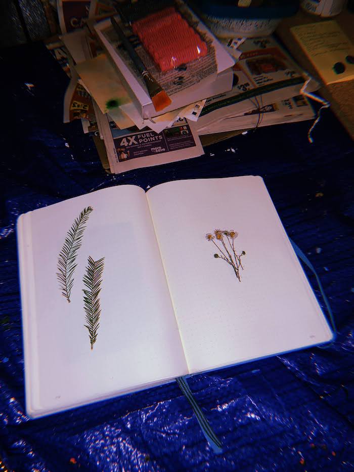 pressed flowers in a notebook